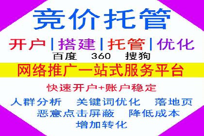 SEM推广策略：成功案例解析与效果评估
